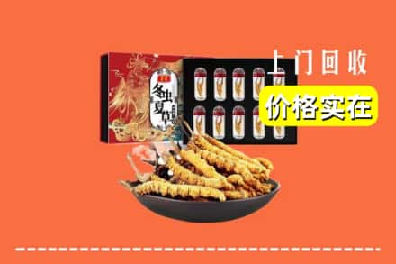 南通市启东回收冬虫夏草