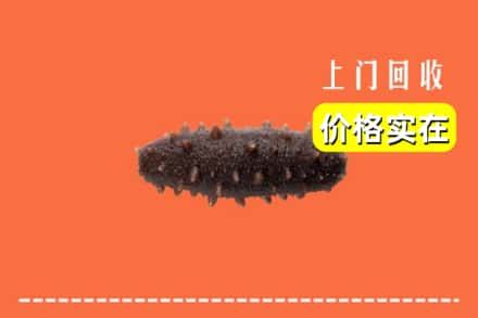 南通市启东回收海参